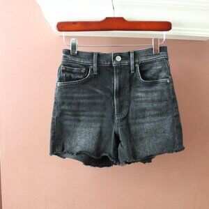 DENIM FORUM Aritzia The Arlo Cut-Off Denim Short Sz 25 High Rise Button Fly